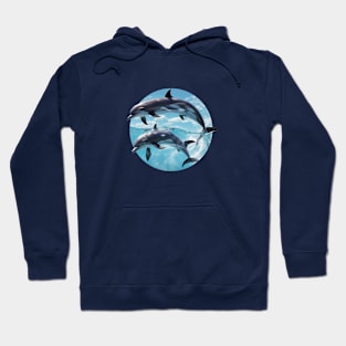 Dolphins Hoodie